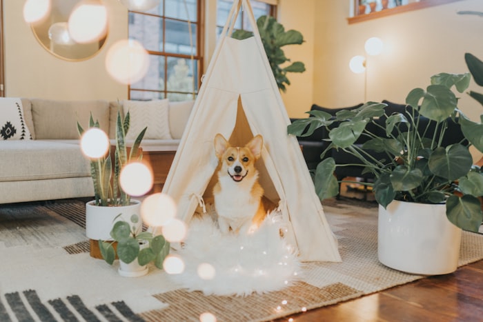 Chien détendu au calme à la maison